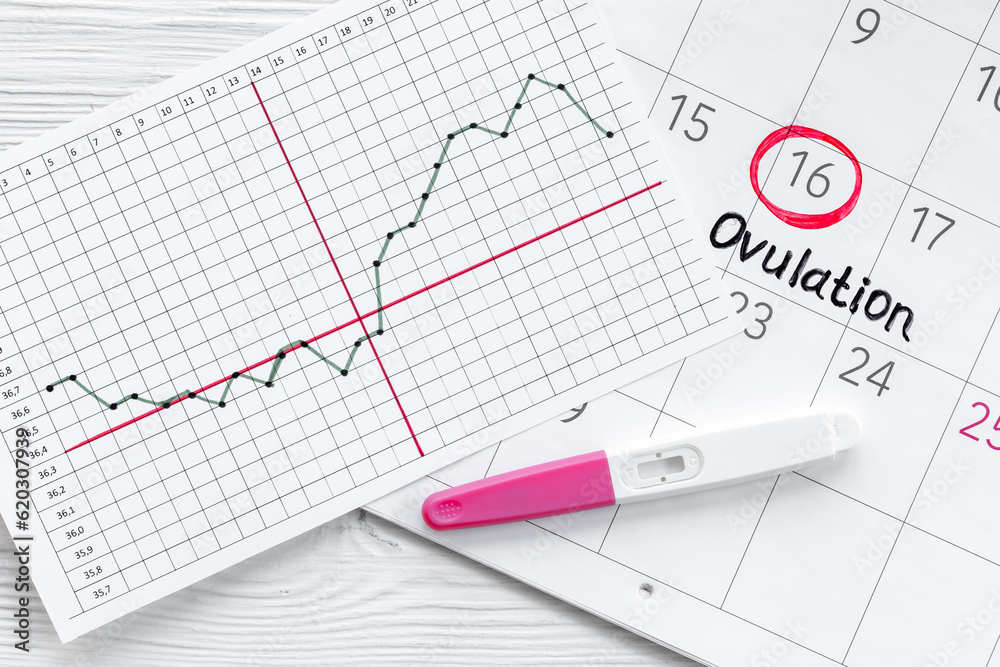Female calendar with Ovulation day with pregnancy test Female calendar with Ovulation day with pregnancy test