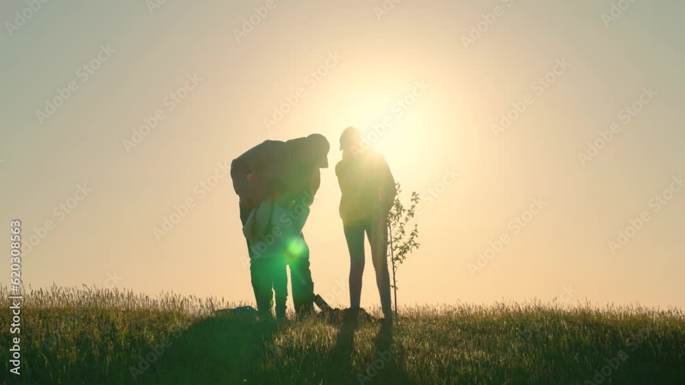 Dad mom child planting tree. Happy family, child planting trees, sunny ...