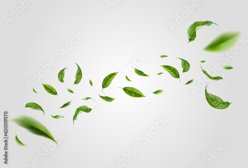 Realistic green leaves in motion on a white background. Organic, eco, vegan design. Background with flying green spring leaves. Vector illustration