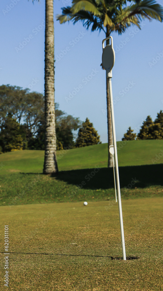 Obraz premium Buraco de um campo de golfe com uma bola de golfe próximo ao buraco em Mogi das Cruzes SP Brasil. 