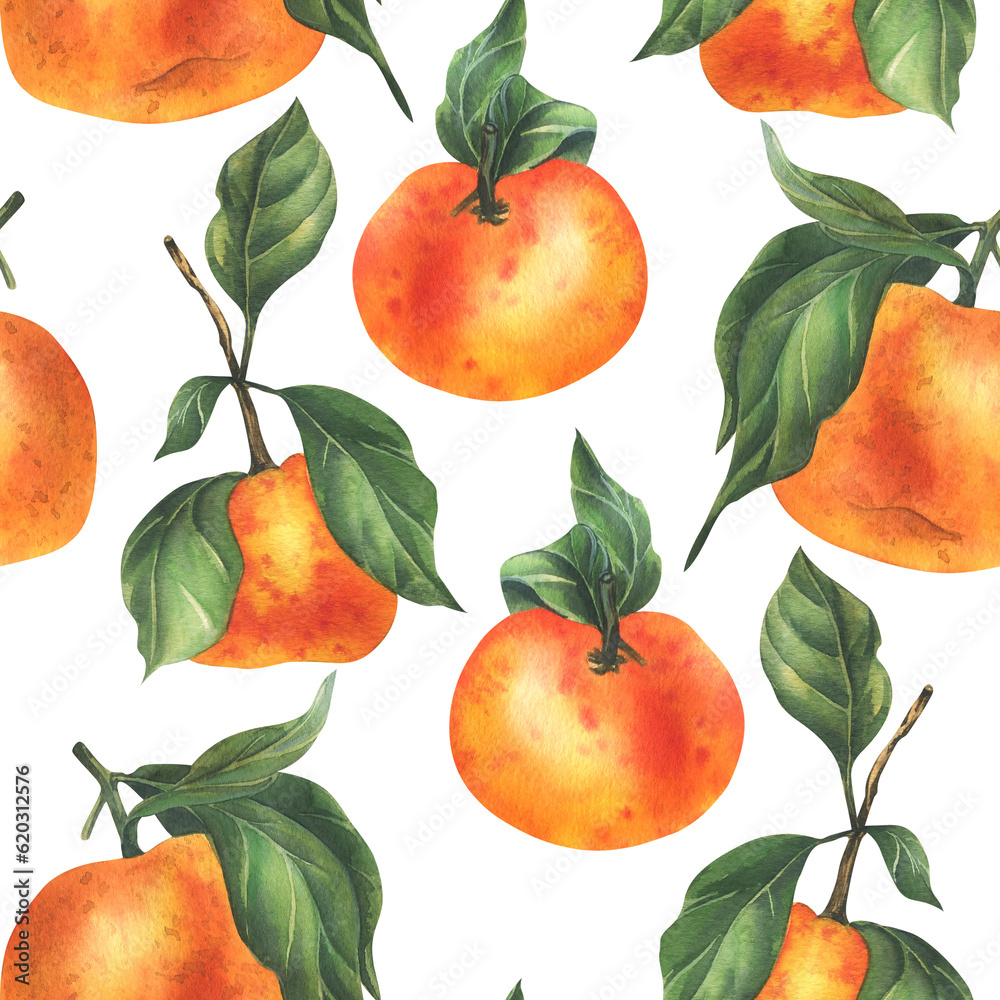 Orange tangerines with green branch and leaves, citrus tropical fruit. Watercolor illustration, hand drawn. Seamless pattern on a white background.