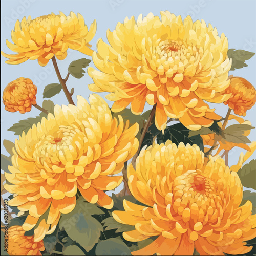 chrysanthemum flower