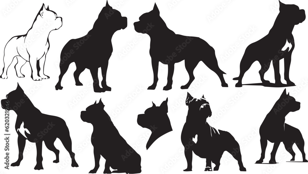 Set of American Bully dog illustrations - isolated