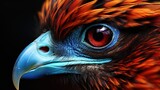 Animal feather beak and eye in close up AI, Generative AI, Generative