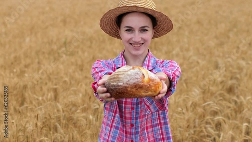 A farmer in a wheat field. Wheat harvest season in Ukraine. Golden ears of corn and a woman holding bread in her hands. Organic bread.