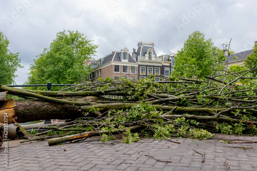 Poly summer storm hit Amsterdam with cloudy day and raining, The tree fall or broken over street, The wind blew down the trees and crushed the bridge along the canal, Noord Holland, Netherlands. photo