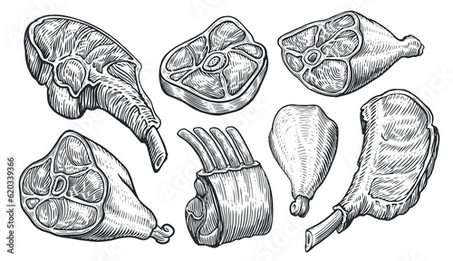 Meat products set sketch. Beef steak, ham, lamb ribs, pork, chicken leg. Butchery shop assortment vector illustration