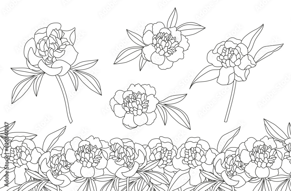 set with peonies. Vector illustration set with peonies. Vector illustration