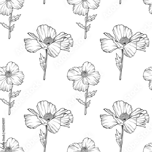 White Poppy Flowers seamless pattern. Hand drawn sketch style. Nature illustration. Floral background on white.