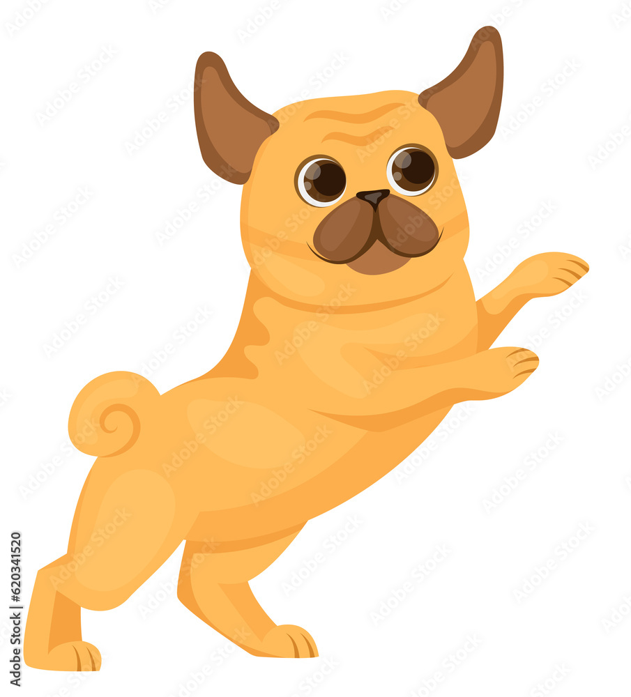 Obraz premium Playing pug. Funny cartoon dog. Little puppy