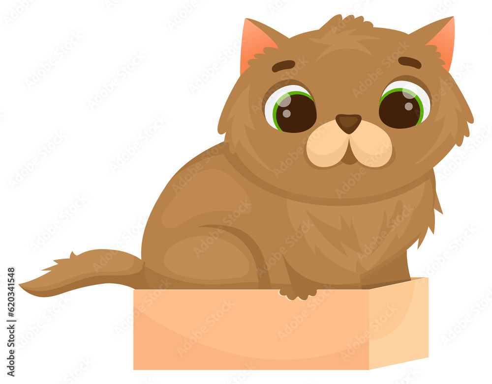 Funny kitten sit in small box. Cartoon cat Funny kitten sit in small box. Cartoon cat