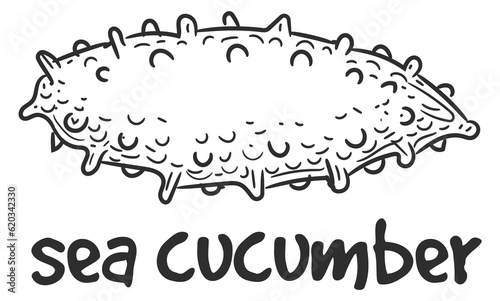Sea cucumber doodle. Marine underwater animal icon