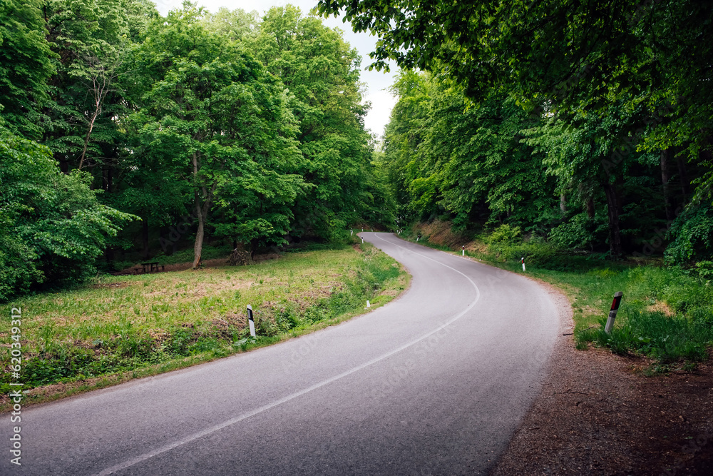 A beautiful paved road with turns through a dense green forest, passing through the Fruska Gora National Park in Serbia. Background for a auto and moto trip with copy space