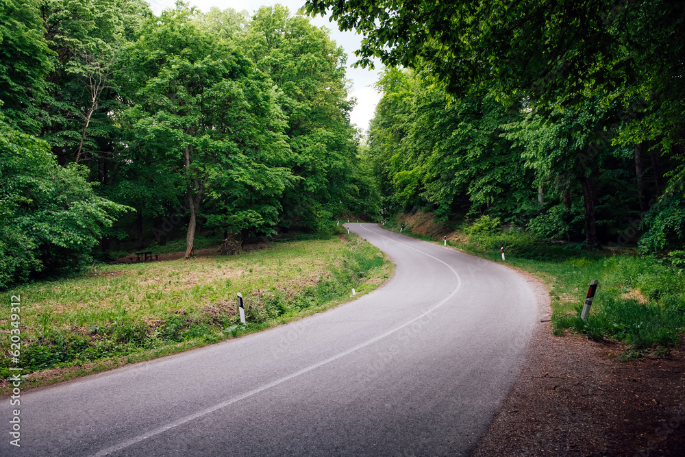 Obraz premium A beautiful paved road with turns through a dense green forest, passing through the Fruska Gora National Park in Serbia. Background for a auto and moto trip with copy space