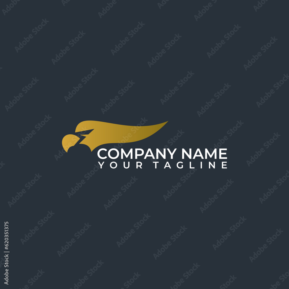 Fototapeta premium Abstract simple eagle head logo vector