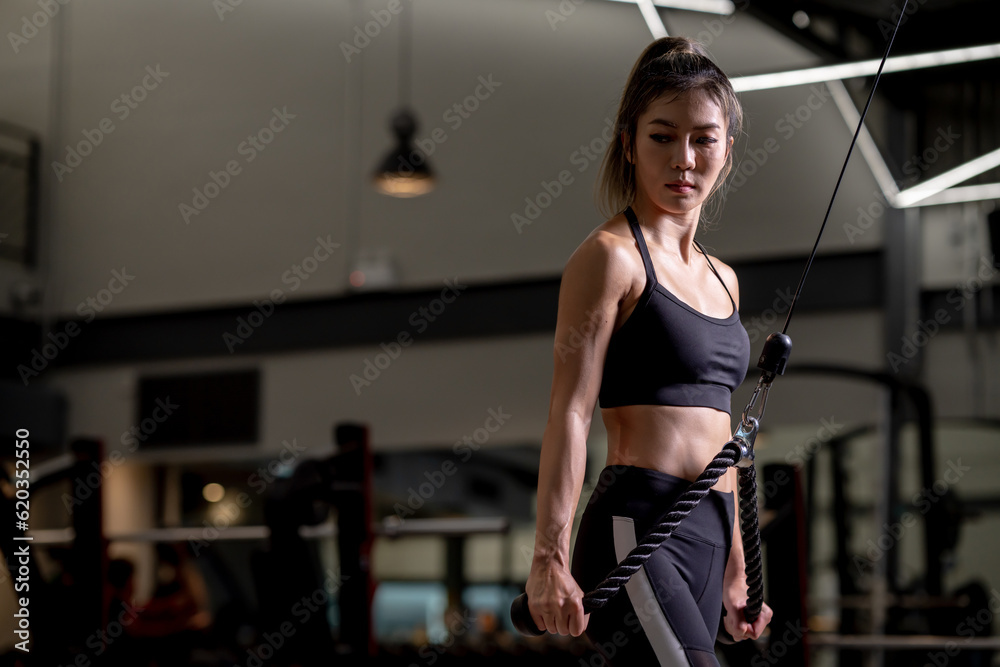 Portrait of a young Asian woman, good-looking, shapely, in a black dress. She's working exercise fitness out in a world-class gym, work hard. Portrait of a young Asian woman, good-looking, shapely, in a black dress. She's working exercise fitness out in a world-class gym, work hard.