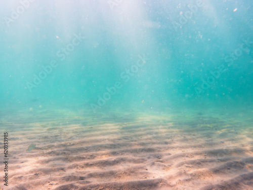 underwater view of seafloor 