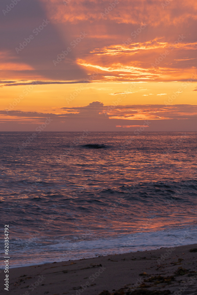 sunset over the sea