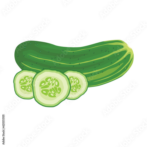 Vector illustration of ripe and unripe green cucumber with leaves. Sliced and whole cucumber vegetable in cartoon flat style for business and education design element. Healthy for skin treatment