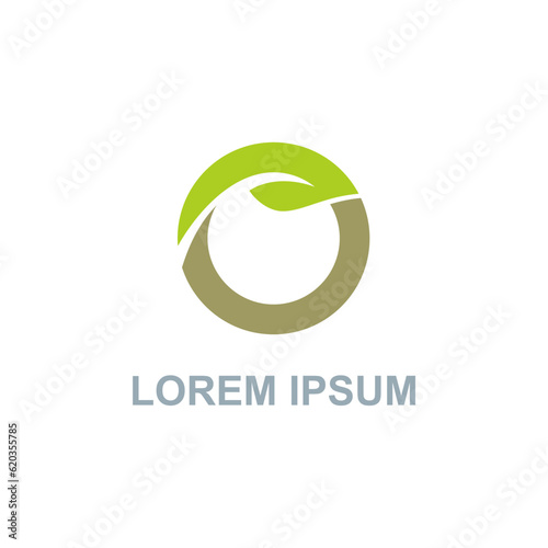 Green leaf organic letter o logo vector image