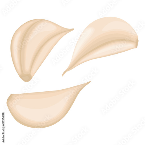 Vector illustration of sliced garlic, garlic clove, garlic bulb in cartoon flat style design isolated on white background. Vegetable icon for business and education element design.