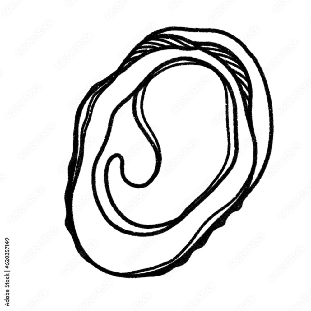 oyster oyster