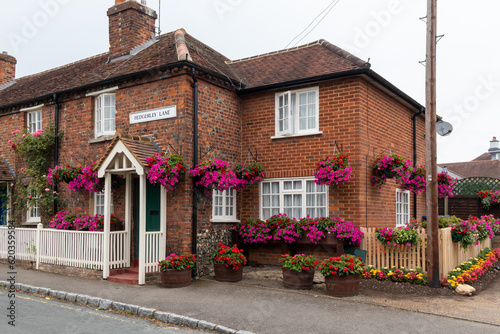 Cottage with extension and colourful flowers photo
