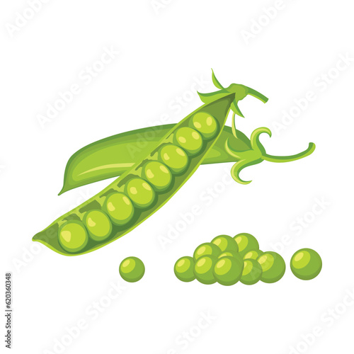Vector illustration set of green pea vegetable icon. Drawing pea in cartoon flat style. The end of the pod of green peas. Element for packaging and menu design. Isolate on a white background. 