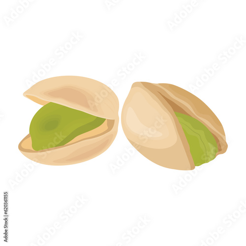 Vector illustration of pistachios in flat cartoon style. Roasted pistachios in shell. Natural organic food logo. Design element for nuts packaging, advertising, etc.