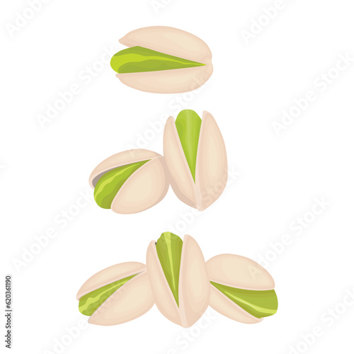 Vector illustration of pistachios in flat cartoon style. Roasted pistachios in shell. Natural organic food logo. Design element for nuts packaging, advertising, etc.