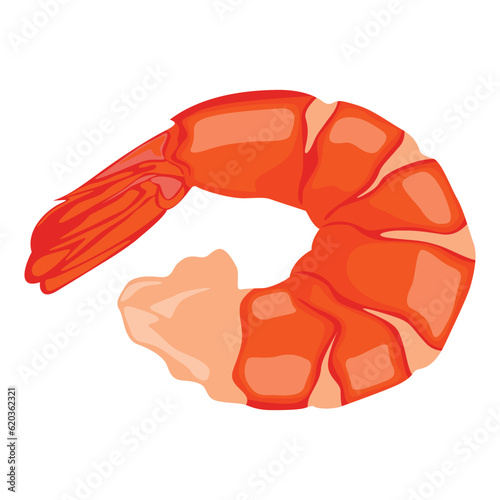 Vector illustration of shrimp prawn icons set. Boiled shrimp drawing on a white background. Collection shrimp, shrimps without shell, shrimp meat. Menu icon for healthy sea food. Protein food