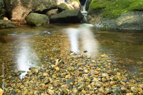 waterfall in the forest