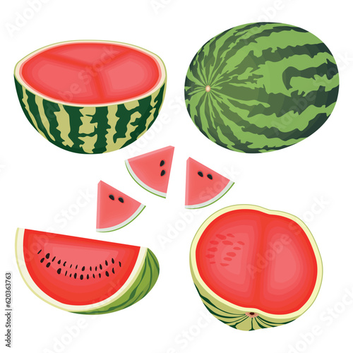 Vector illustration cartoon sttle whole and slice watermelon fruit. Green striped berry with red pulp and brown bones, cut and chopped fruit, half and sliced for summer fresh with green leaves photo