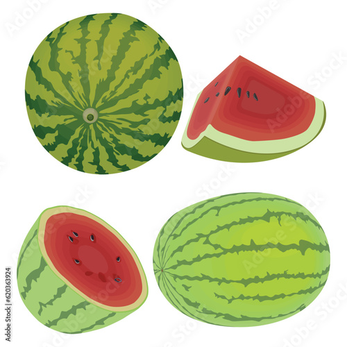 Vector illustration cartoon sttle whole and slice watermelon fruit. Green striped berry with red pulp and brown bones, cut and chopped fruit, half and sliced for summer fresh with green leaves photo