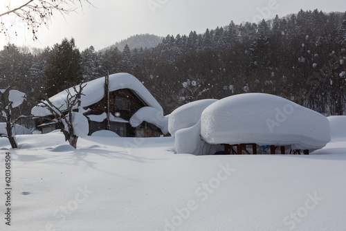 北海道、家の周り冬の景色
