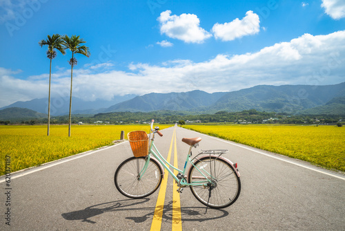 A Bicycle at Brown Avenue in Taitung, Taiwan
