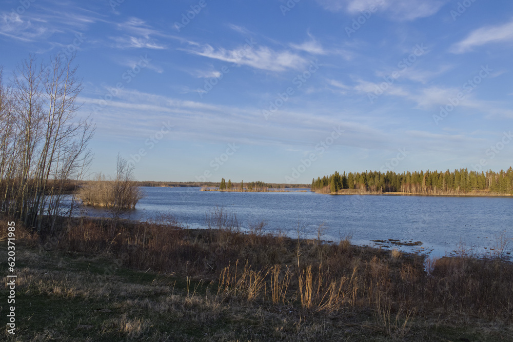 Elk Island National Park during Evening Hours in Spring