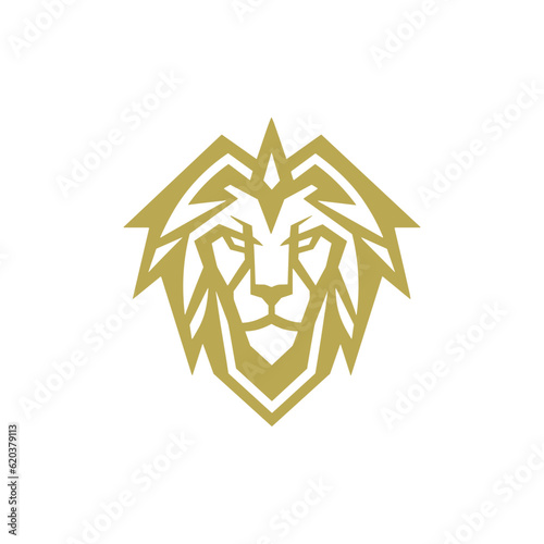 Lion head iIllustration logo. Isolated on white background