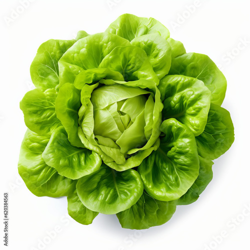 Green fresh lettuce. Illustration AI Generative..
