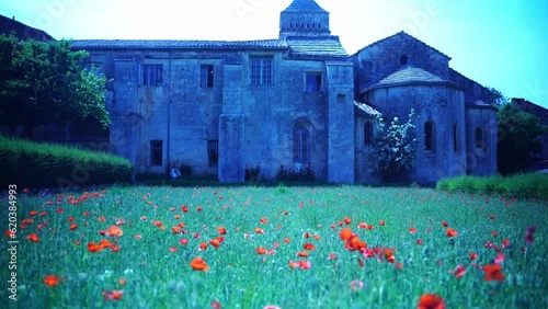 mon field garden Lavender garden in St.Paul de Mausole monastery where Vincent van Gogh was a patient photo