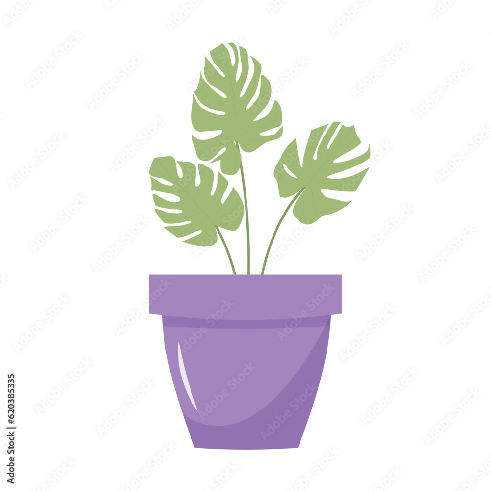Monstera leaves in a flowerpot. Still life postcard. Cartoon flat illustration. Monstera leaves in a flowerpot. Still life postcard. Cartoon flat illustration.