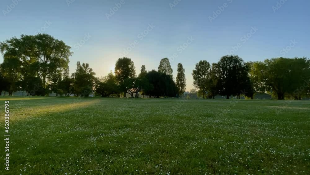 timelapse of the setting sun in cologne on the rhine behind the trees in a park in the evening with timelapse of the setting sun in cologne on the rhine behind the trees in a park in the evening with