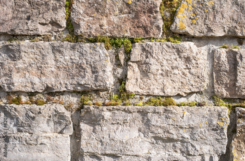 a garden wall of limestone blocks in sunlight