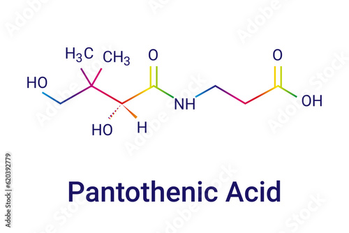 Vitamin B5 (Pantothenic Acid, Pantothenate) molecule chemical skeletal formula. Vector illustration.