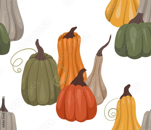 Rustic vector pattern with composition of pumpkins on a white background. Autumn cozy texture with vegetables. Rural background