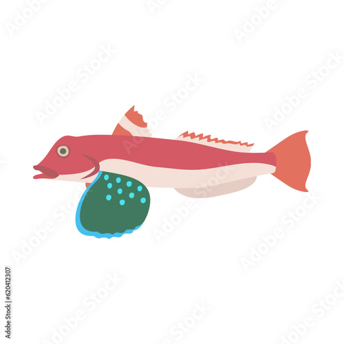 ホウボウ。フラットなベクターイラスト。
Spiny red gurnard. Flat designed vector illustration.