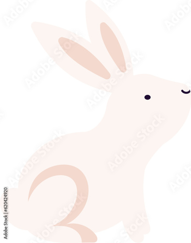 Cute pink bunny