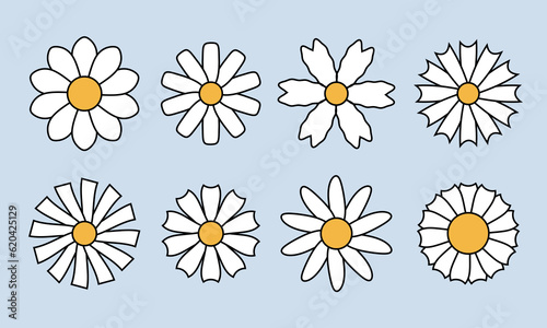 Camomile icon set. White daisy chamomile collection isolated 