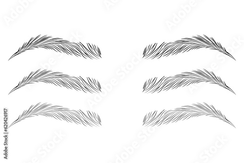 Eyebrow shape set, Fashion eyebrows of various shapes and types, Brown eyebrow bag, Brown eyebrows isolated on white background, Brown eyebrow vector, eyelash