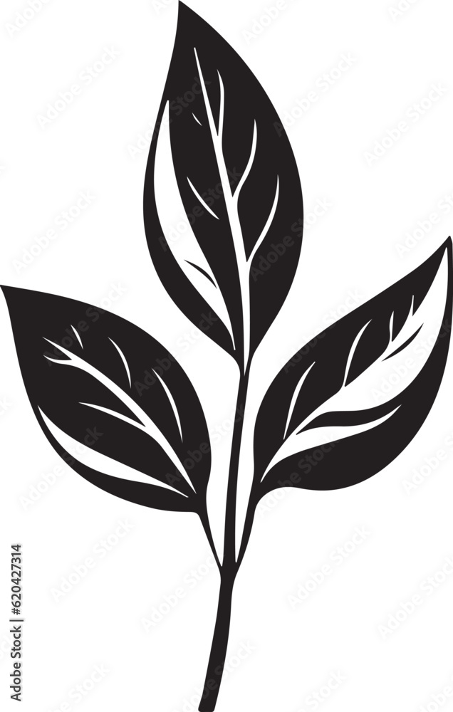 Basil Leaf Black And White, Vector Template for Cutting and Printing Basil Leaf Black And White, Vector Template for Cutting and Printing